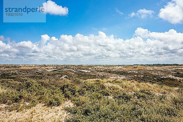 Blick auf die Weite des Kennemerland National Park  Zandvoort  Niederlande  Europa