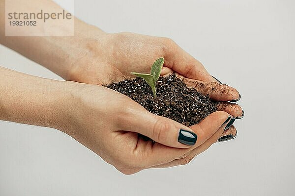 Seitenansicht weibliche Hände halten Erde kleine Pflanze
