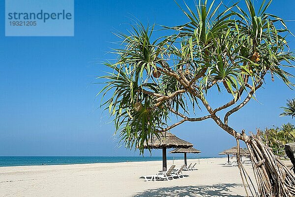 Strand  weißer Sand und exotische Planzen  Silver-Beach  Ngwesaung  Myanmar  Asien