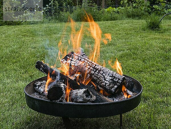 Feuerschale mit Holz und Flammen im Garten  fire bowl with wood and flames in a garden