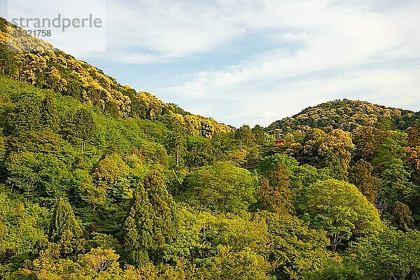 Der kultige Kiyomizu dera Tempel und die Aussicht auf die Berge an einem sonnigen Frühlingstag in Kyoto  Japan  Asien