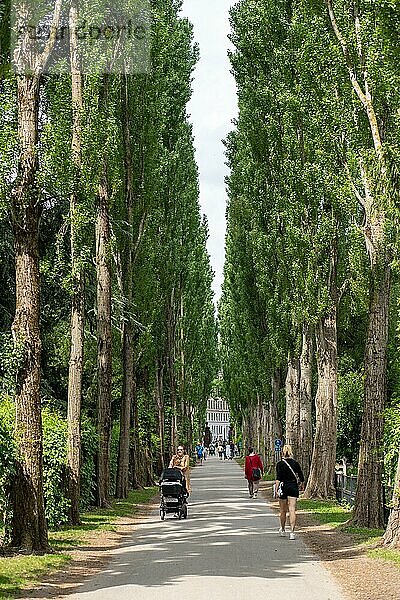 Kopenhagen  Dänemark  10. Juni 2021: Eine Baumallee und Menschen auf dem beliebten Assistens Friedhof  Europa