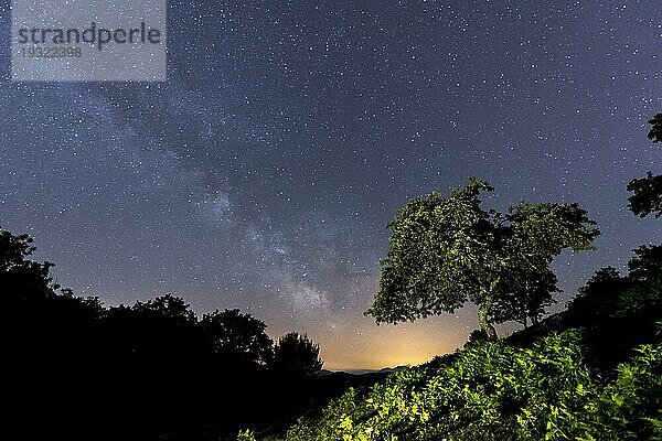 Ein schöner Baum unter der wunderschönen Milchstraße auf dem Berg Erlaitz in der Stadt Irún  Guipuzcoa. Baskenland. Nachtfotografie im Juni  Lightpainting