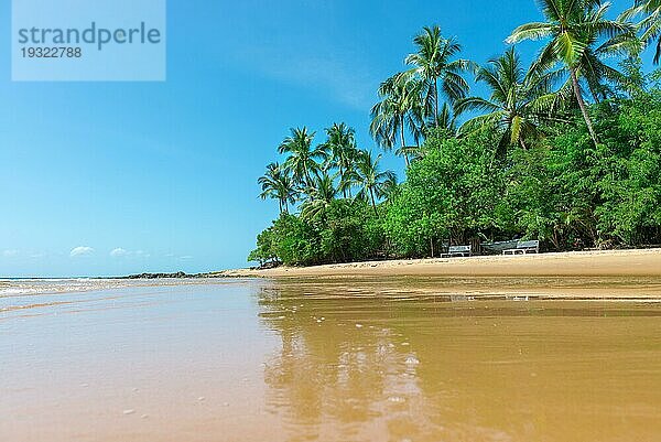 Itacare  Brasilien  8. Dezember 2016: Paradies Strand auf schönen sonnigen Tag als Hintergrund  Südamerika