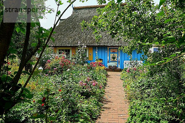 Idyllischer Garten mit blauem  reetgedecktem Fischerhaus