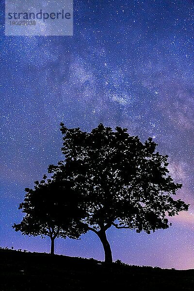 Silhouette eines jungen Mannes und eines Baumes bei Nacht. Monte Erlaitz in der Stadt Irún  Guipuzcoa. Baskenland. Nachtfotografie der Milchstraße im Juni