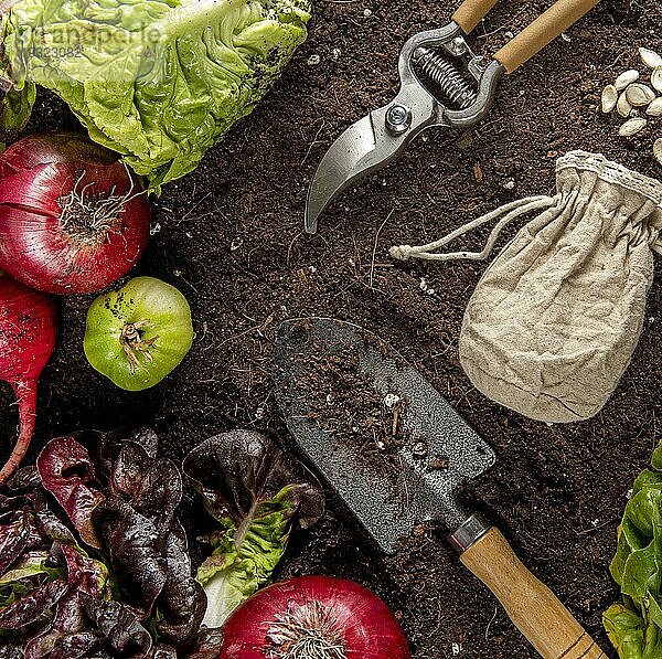 Draufsicht Gartengerät mit Gemüse