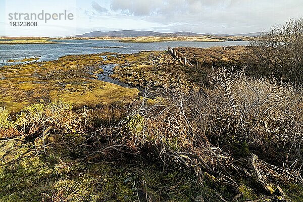 Traumhafte Landschaft und Vegetation auf der Isle of Skye