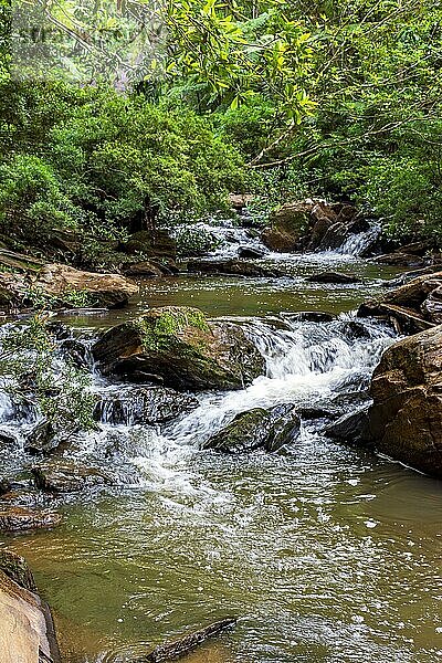 Ruhiger Wasserlauf zwischen Felsen und umgeben von Regenwaldvegetation