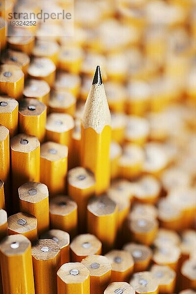 Gespitzter Bleistift inmitten von ungespitzten Bleistiften. Sehr geringe Tiefenschärfe