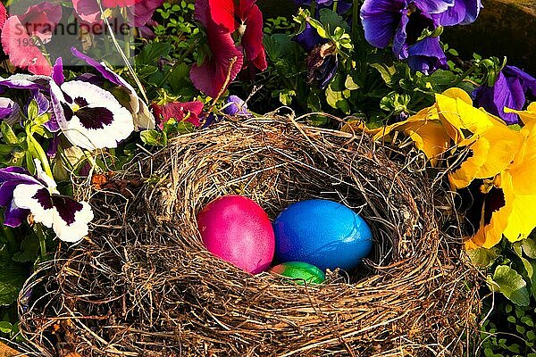 Osternest im Garten  Ostereier in einem Nest in einem Garten