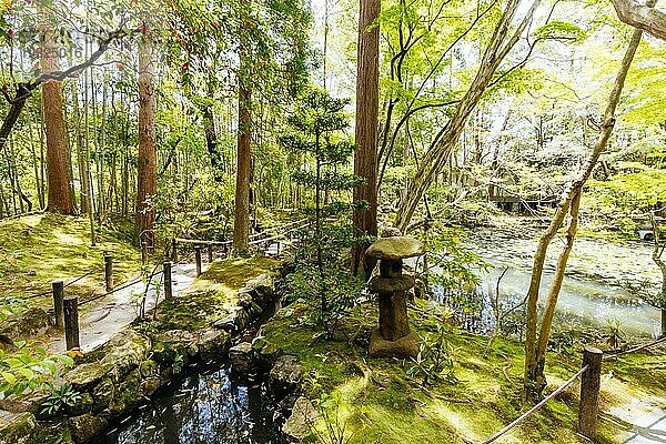 Der schöne Tenju an Tempel an einem Frühlingstag in Kyoto Japan