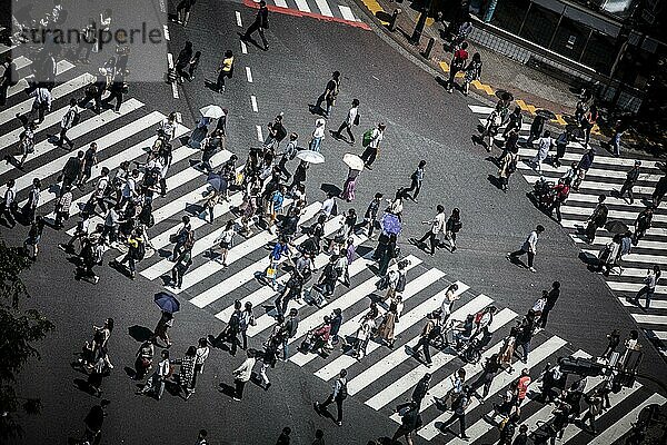 TOKIO  JAPAN  11. MAI 2019  Die Shibuyakreuzung im Zentrum von Tokio  Japan  ist eine der meistgenutzten Fußgängerübergänge der Welt  Asien