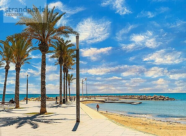 Strand mit Palmen in der Küstenstadt Torrevieja  Alicante  Valencianische Gemeinschaft. Spanien  Mittelmeer