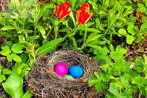 Osternest im Garten  Ostereier in einem Nest in einem Garten