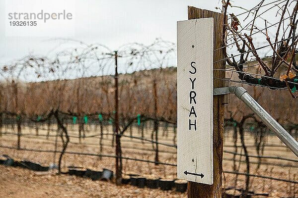 Ein Syrah Weinbergsschild im Winter in der Nähe von Cottonwood in Arizona  USA  Nordamerika