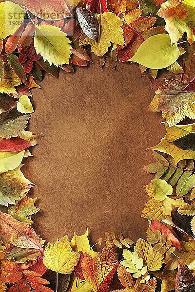 Rahmen aus Herbstblättern