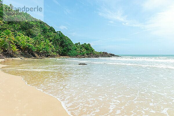 Erstaunlich grüne Natur am Strand Itacarezinho in Bahia