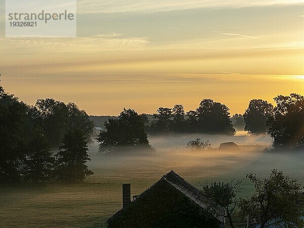 Nebel über den Wiesen am Dorfrand bei Sonnenaufgang  Schlepzig  Brandenburg  Deutschland  Europa