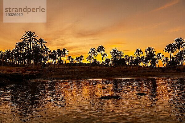 Silhouette von Palmen in einem orangefarbenen Sonnenuntergang an einem Strand am Meer in der Stadt Torrevieja reflektiert. Weiße Küste des Mittelmeers von Alicante. Spanien