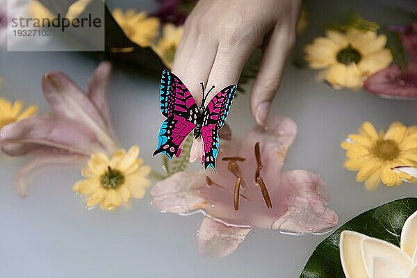 Nahaufnahme Schmetterling therapeutische Blumen