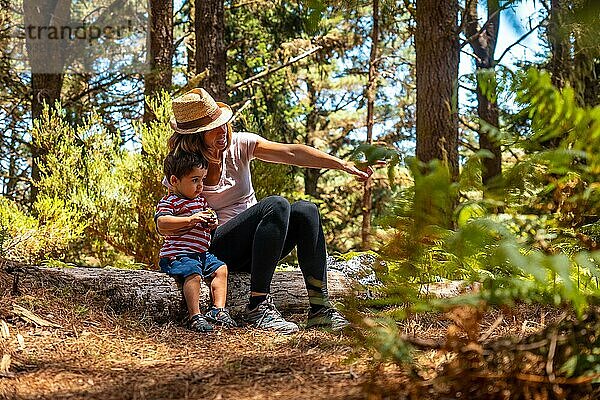 Porträt einer Mutter mit ihrem Sohn  die auf einem Baum in der Natur neben Kiefern sitzen  Madeira. Portugal