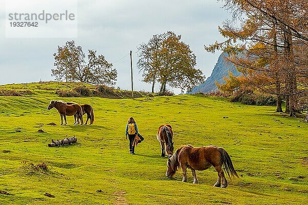 Eine junge Frau im Erlaitzgebirge mit Pferden in Freiheit in der Stadt Irun  Gipuzkoa. Baskenland