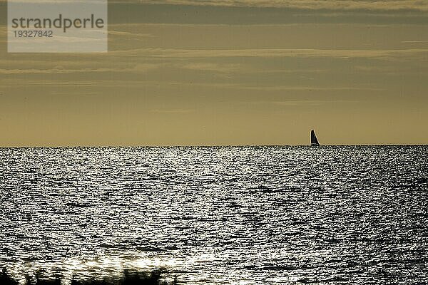 Segelboot am Horizont bei im Gegenlicht funkelnden und glitzernden Meer am Ärmelkanal kurz vor Sonnenuntergang  Portbail  Cotentin  Manche  Normandie  Frankreich  Europa