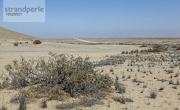 Landschaft am Vogelfederberg  an der Main Road C14  Namibia  Afrika