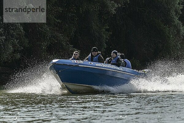 Schnellboot im Donaudelta  Rumänien  Europa