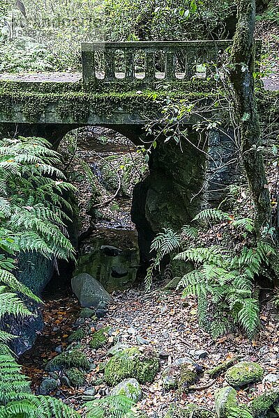 Idyllische Brücke am Wanderweg  Ribeiro Frio  Insel Madeira  Portugal  Europa