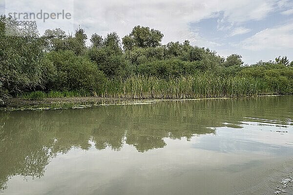 Landschaft im Donaudelta  Rumänien  Europa