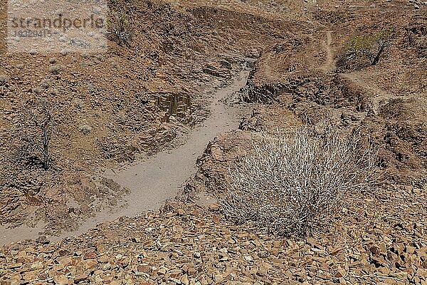 Landschaft in Nähe der Orgelpfeifen  Khorixas  Damaraland  Namibia  Afrika