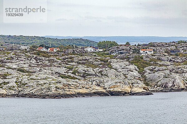 Häuser und blühende Heide auf der Insel Galterö  Göteburger Schärengarten  Schweden  Europa