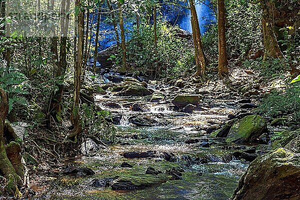 Kleiner  ruhiger Fluss  der den Wald durchquert und dessen Wasser vom Sonnenlicht  das durch die Bäume fällt  beleuchtet wird  in Minas Gerais  Brasilien  Südamerika