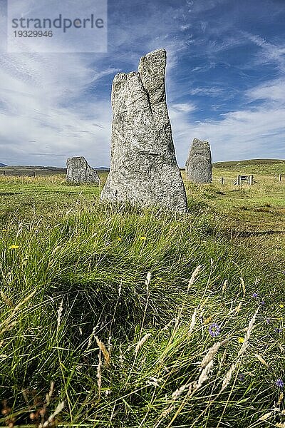 Steinformation der Megalithkultur  Anlage von Callanish 1  bei Breasclete  Isle of Lewis  Äußere Hebriden  Schottland  Großbritannien  Europa