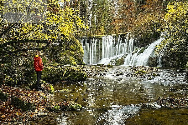 Der Geratser Wasserfall im Herbst. Eine Wanderin stehtam Ufer. Moosbedeckte Felsen an den Seiten  Bäume im Herbstlaub. Gerats  Oberallgäu  Allgäu  Bayern  Deutschland  Europa