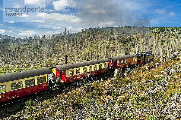 Eisenbahn auf dem Brocken  Harzer Gebirge  Sachsen Anhalt  Deutschland  Europa