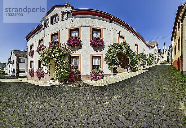 210 Grad Panorama eines mit üppig blühenden Blumen verziertes Wohngebäude in Senheim an der Mosel  Landkreis Cochem-Zell  Rheinland-Pfalz  Deutschland  Europa