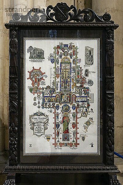 Innenansicht  Decorated floor plan  York Minster  Archidiocese of York  York  England  Großbritannien  Europa