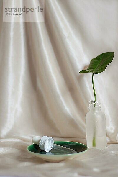 Ein grünes Blatt in einer Glastropfflasche  Konzept für ein umweltfreundliches und nachhaltiges Produkt für Selbstpflege  Schönheit und Hygiene