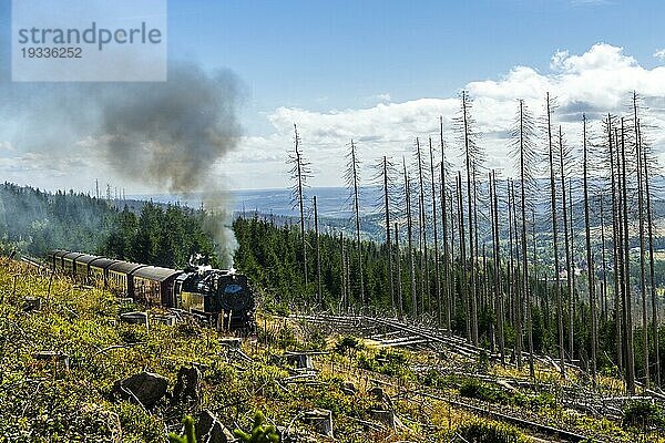 Eisenbahn auf dem Brocken  Harzer Gebirge  Sachsen Anhalt  Deutschland  Europa