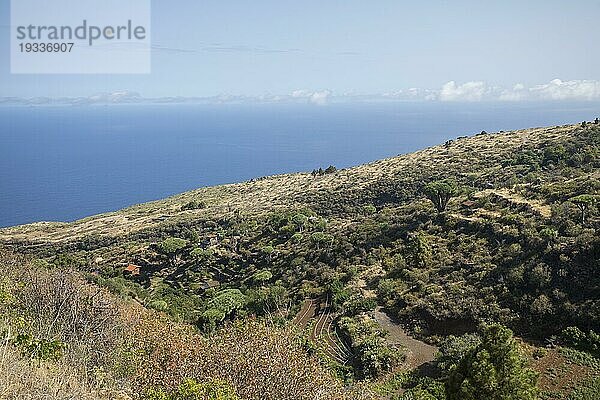 Nordwestküste von der Insel La Palma  Las Tricias  Spanien  Europa