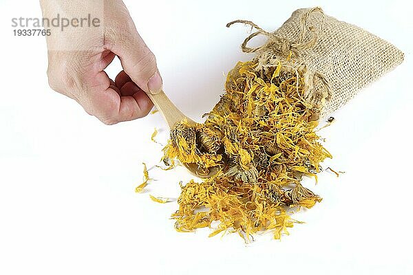 Frau nimmt einen Löffel getrockneter Ringelblumenblüten (Calendula officinalis)  getrocknet aus einem Leinensack. vor weißem Hintergrund und Kopierraum