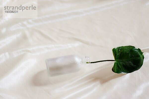 Ein grünes Blatt in einer Glastropfflasche  Konzept für ein umweltfreundliches und nachhaltiges Produkt für Selbstpflege  Schönheit und Hygiene