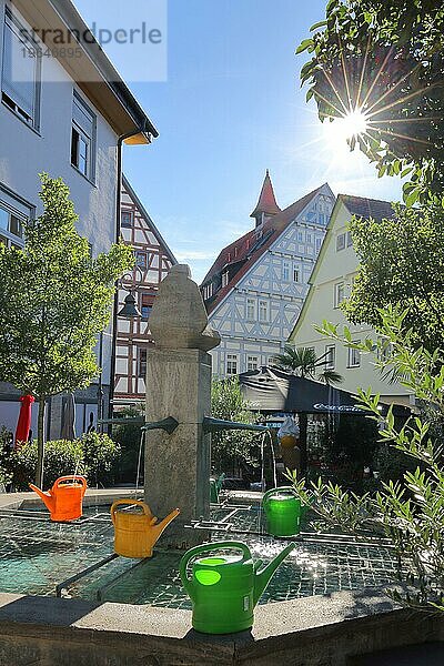 Brunnen am Zehnthof mit vier Gießkannen im Gegenlicht leuchten  Wasserbecken  Waiblingen  Baden-Württemberg  Deutschland  Europa