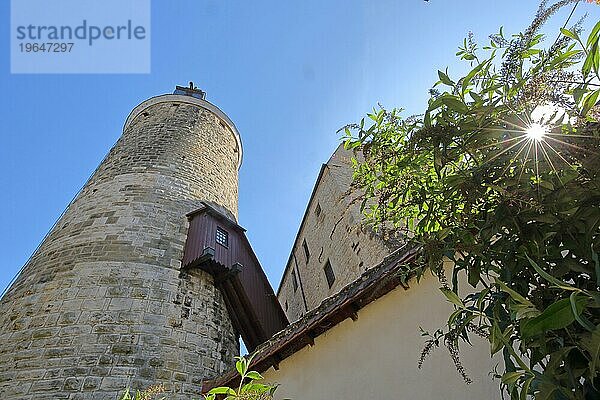 Obere Burg mit historischem Schochenturm erbaut 1220 und Steinhaus im Gegenlicht  Blick nach oben  Besigheim  Neckartal  Baden-Württemberg  Deutschland  Europa