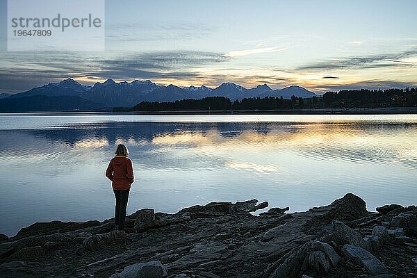 Der Forggensee im Allgäu im Herbst nachSonnenuntergang. Eine Frau steht am Ufer. Felsformationen im Vordergrund  Blick auf Berge. Gutes Wetter  blauer Himmel. Ostallgäu  Bayern  Deutschland  Europa