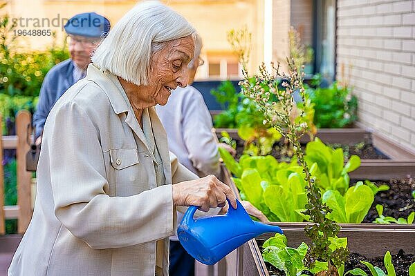 Profil von drei Senioren beim Gießen eines städtischen Gemüsegartens in einem Altenheim