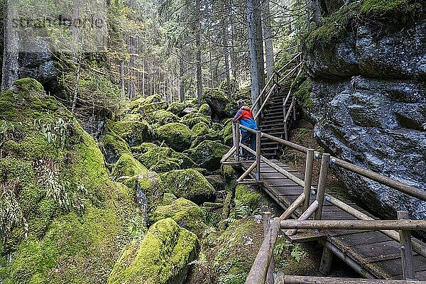 Lohnbachfall im Herbst  Besucher steht auf Holzsteig  Lohn  Pehendorf  Pretrobruck  Rappottenstein  Waldviertel  Niederösterreich  Österreich  Europa